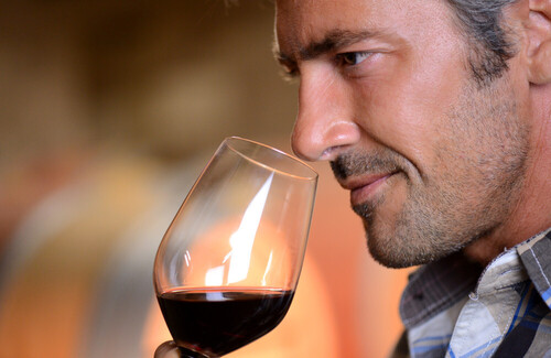 Tasting in the Umbrian countryside - Casali del Toppello farm (Umbria)
