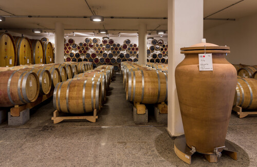 Wine tasting in the heart of Umbria - Roccafiore winery (Umbria)