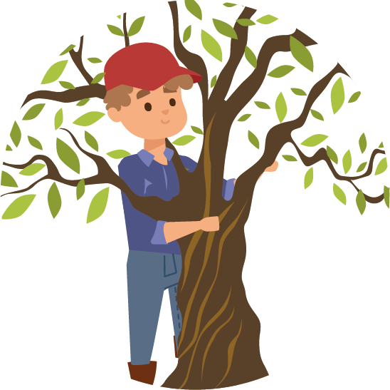 Adopt an olive tree