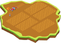 Adotta un campo di grano